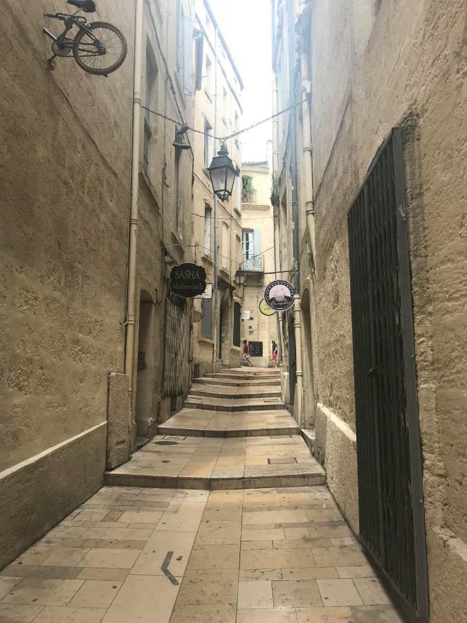 Apartament Superbe ! Appart T2 - Centre Historique & Tram - Situation Ideale Montpellier Zewnętrze zdjęcie