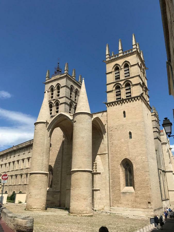 Apartament Superbe ! Appart T2 - Centre Historique & Tram - Situation Ideale Montpellier Zewnętrze zdjęcie